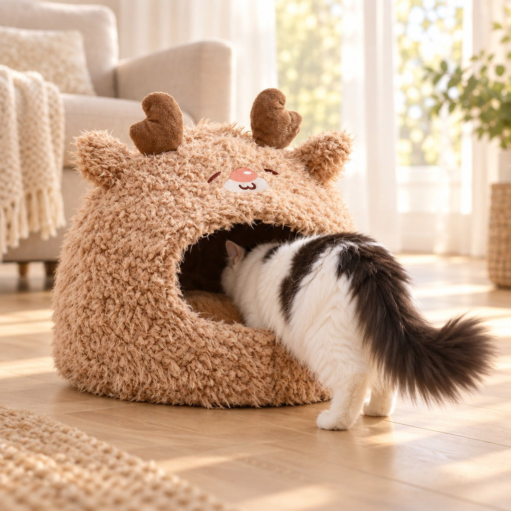 Le chat entre et s'y cache