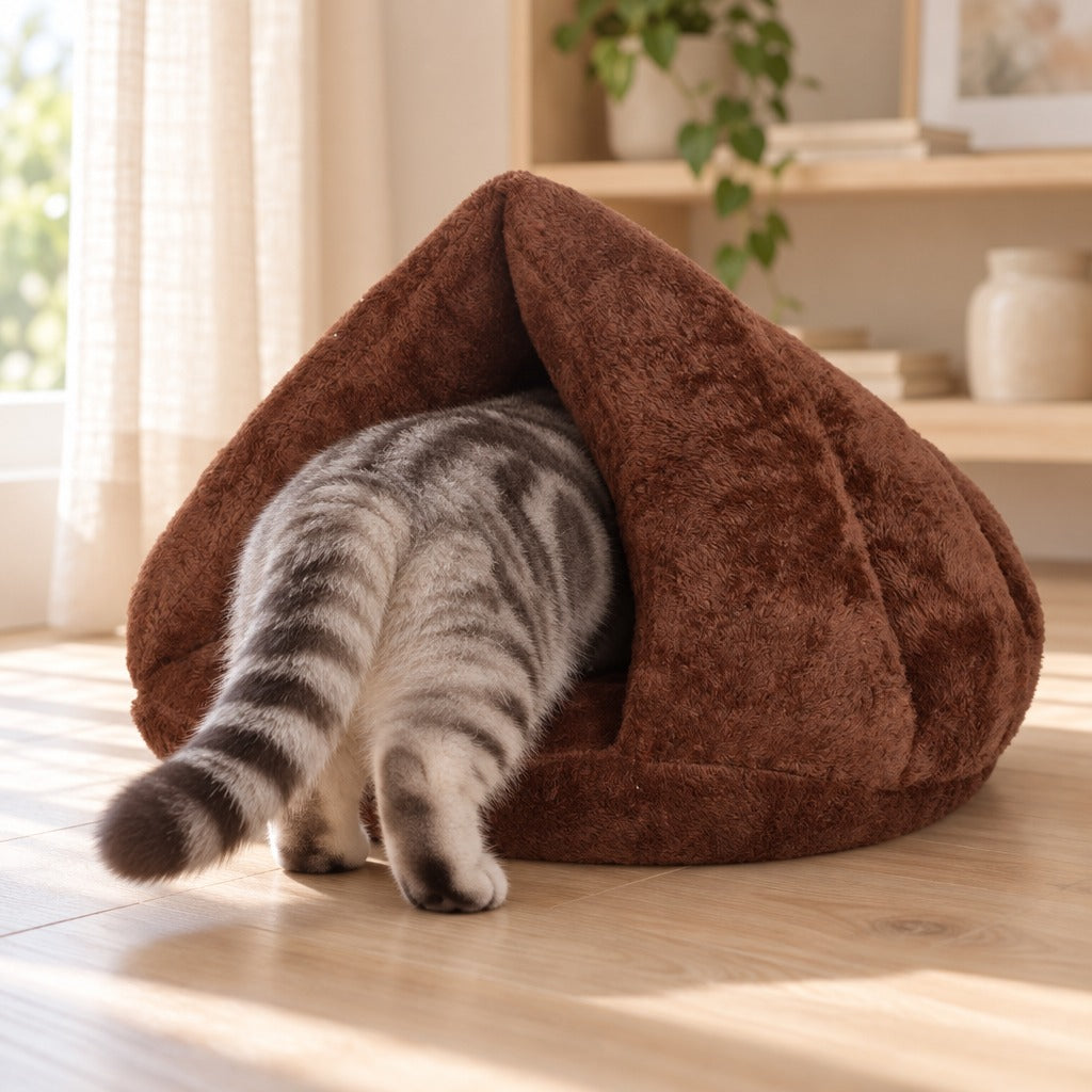 Le chat entre dedans