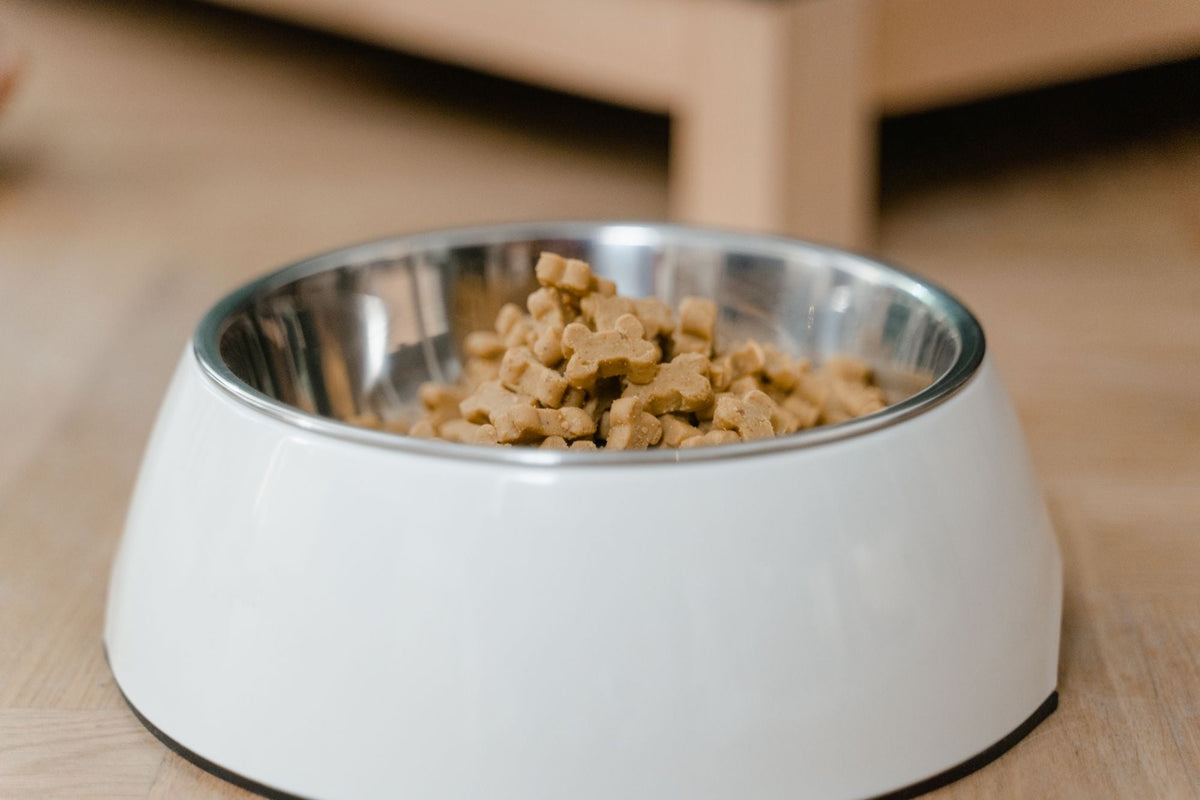 Gamelle remplie de croquettes sur un parquet clair