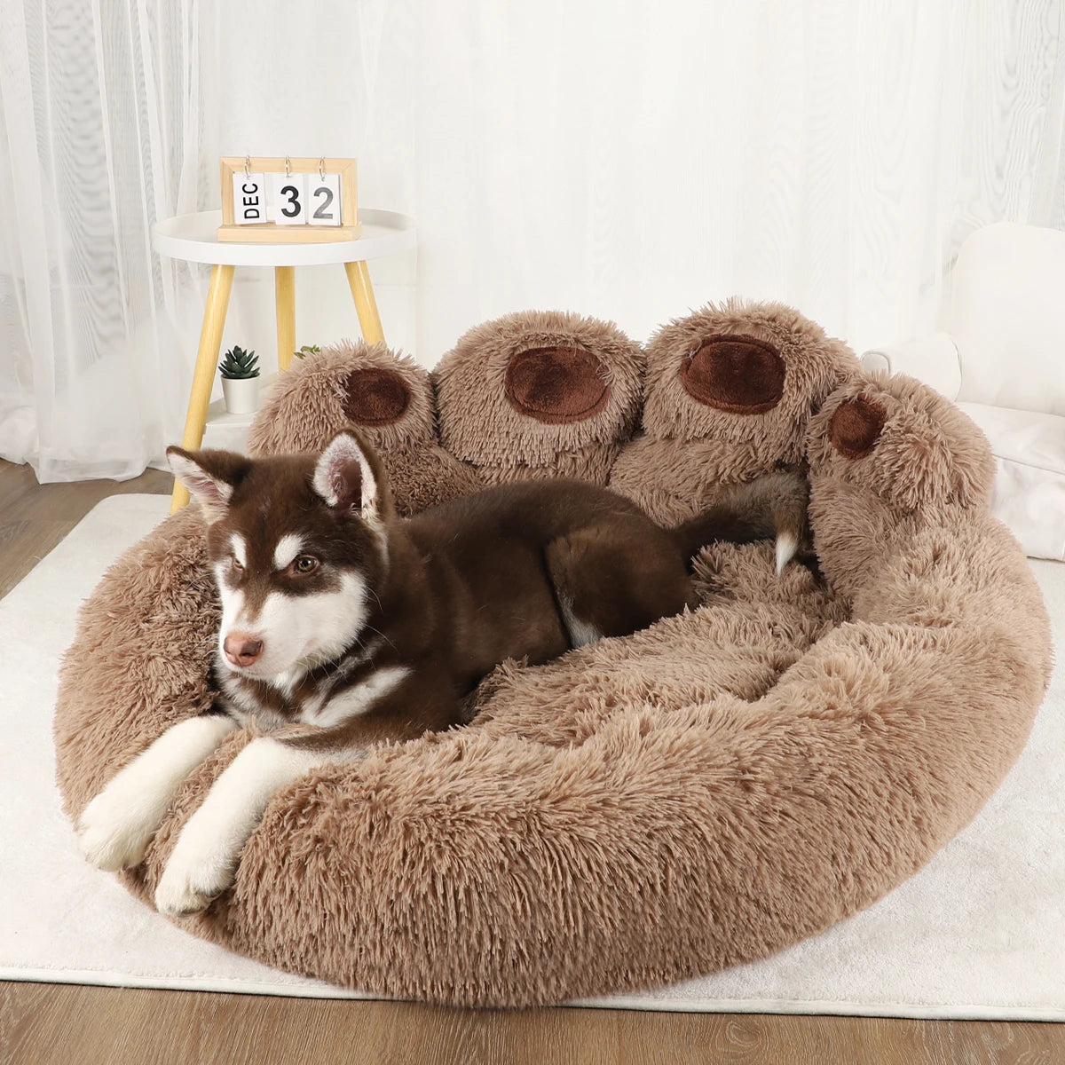 Chien installé dans une corbeille ronde en fourrure