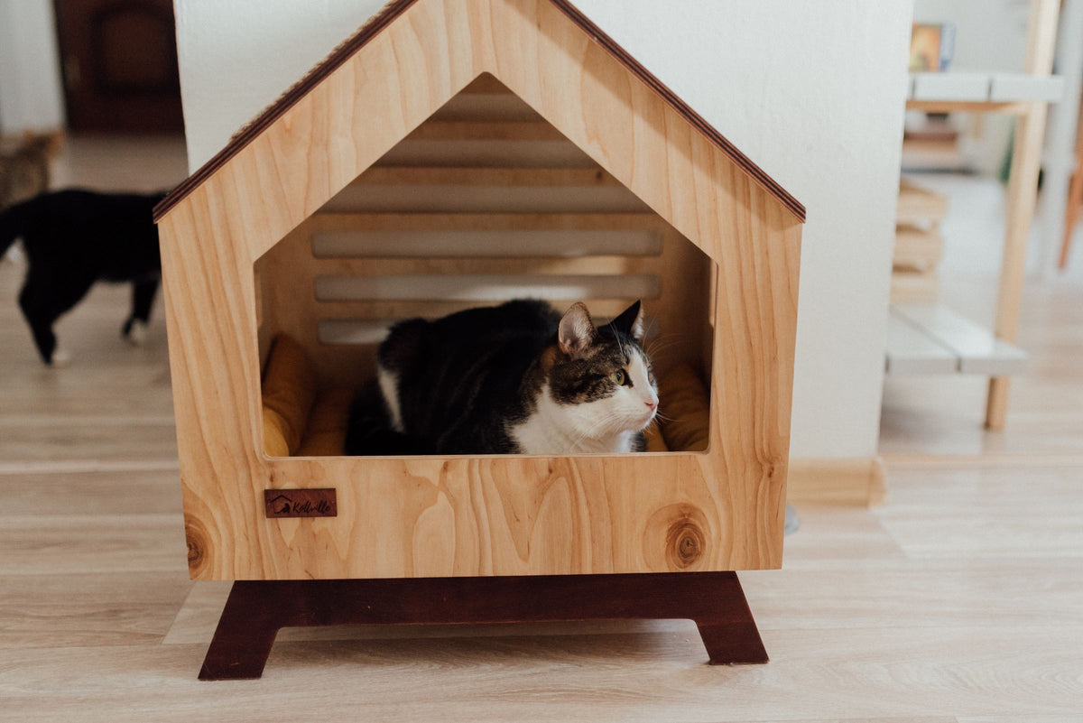 Chat installé dans une maison en bois clair posée au sol