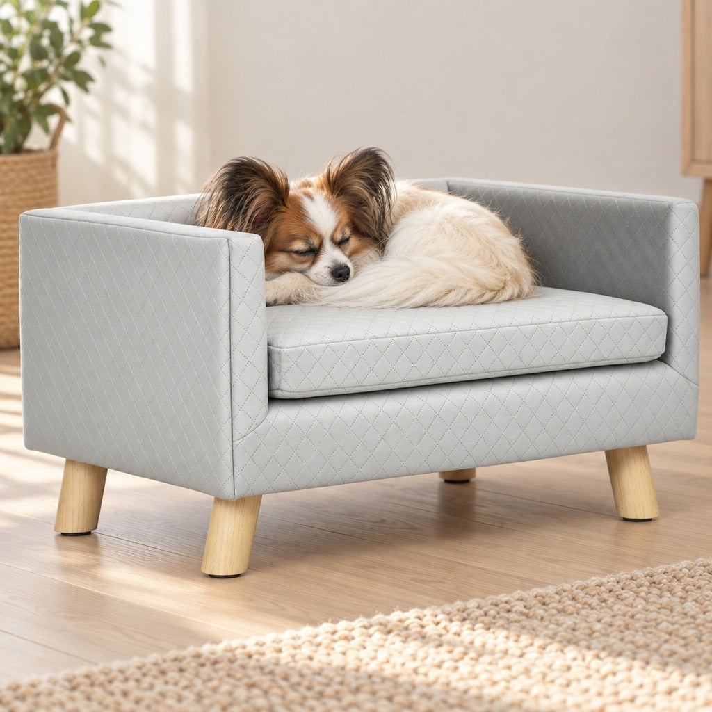 Un épagneul papillon blanc crème dort roulé en boule sur le coussin de la banquette gris clair, dans un salon lumineux au parquet clair.
