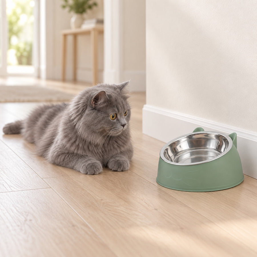 Bol à Oreilles Timothée – Vert sauge