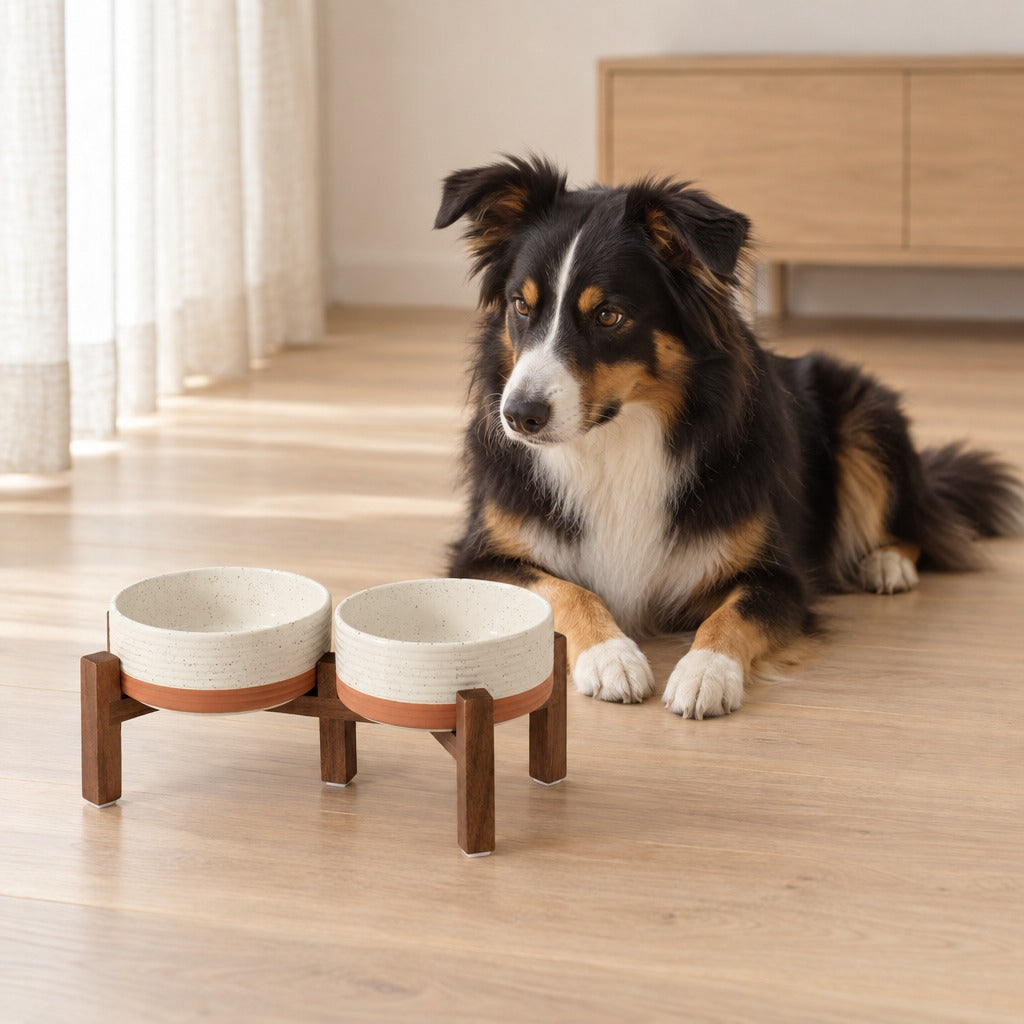 Buffet de repas en céramique crème mouchetée au sol dans une pièce claire, un chien border collie couché derrière lui.