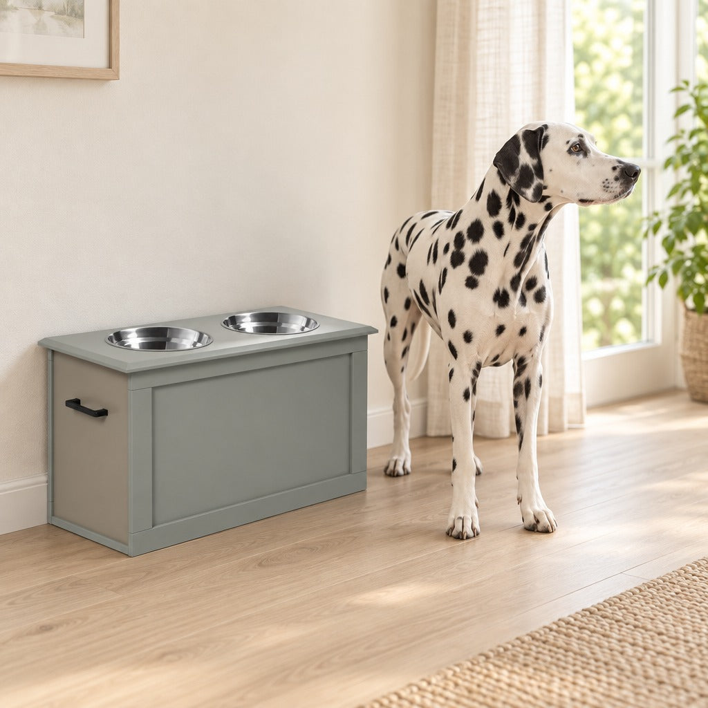 Un dalmatien debout près du buffet de repas gris installé contre le mur d'une pièce lumineuse, ses deux bols vides.
