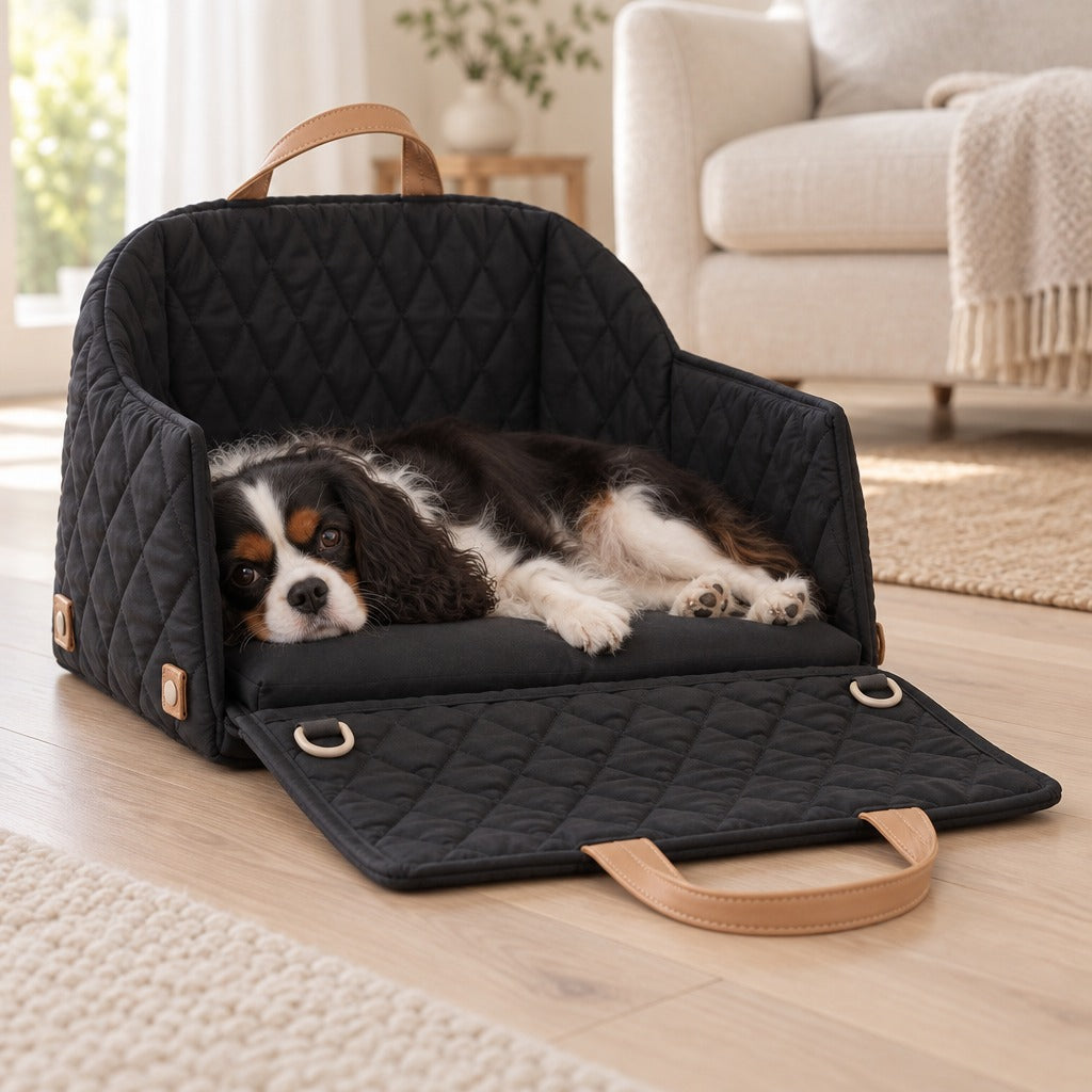 Un cavalier king charles tricolore couché de tout son long dans la cabine noire ouverte, sur le parquet clair d'un salon.
