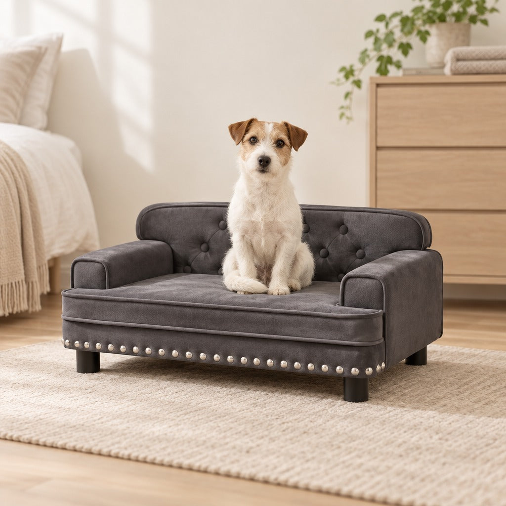 Un Jack Russell blanc crème assis bien droit sur le canapé pour chien en velours anthracite, posé sur un tapis clair au pied d'un lit.