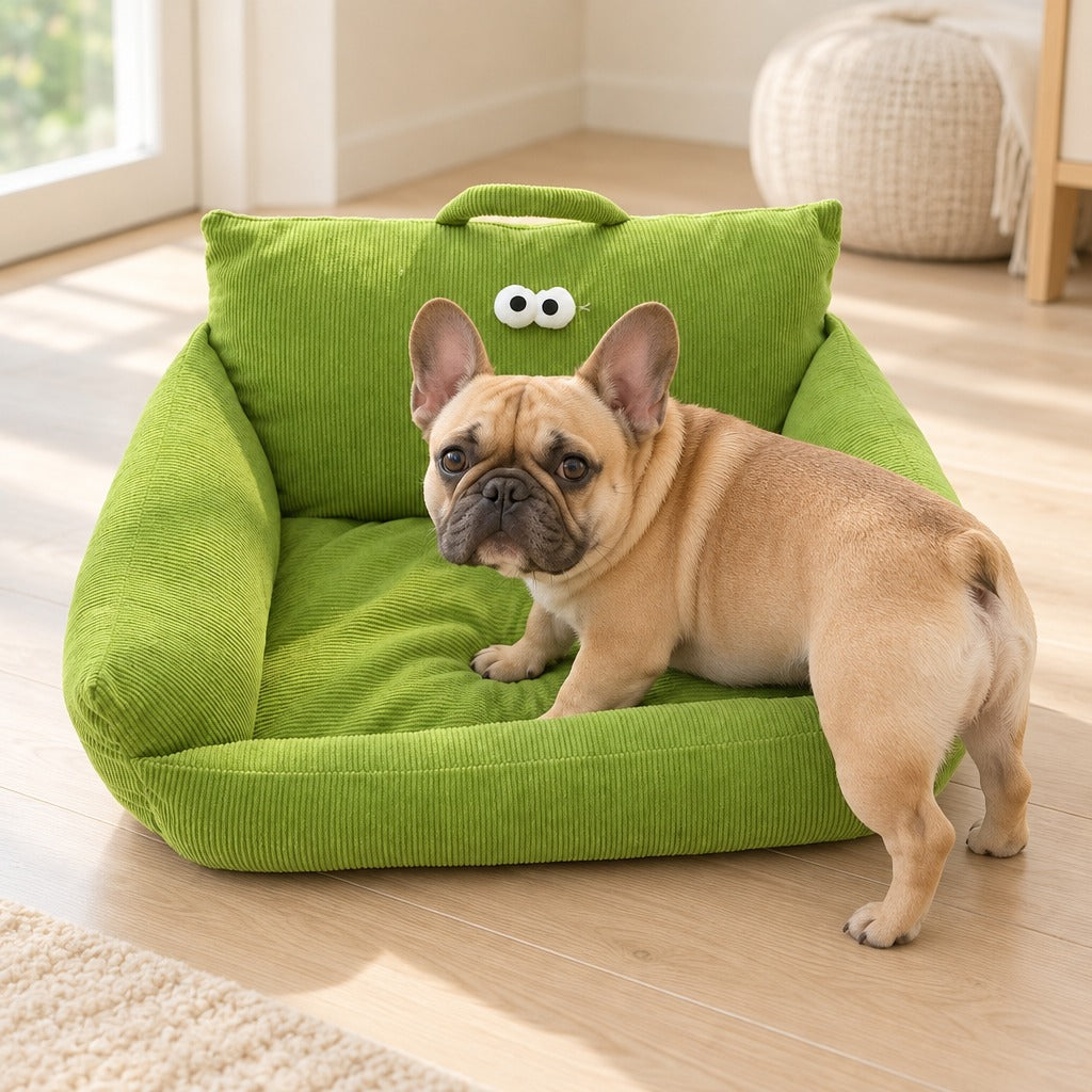 Bouledogue francais fauve en train d'entrer dans le couchage canape en velours cotele vert olive, pattes avant deja sur l'assise.