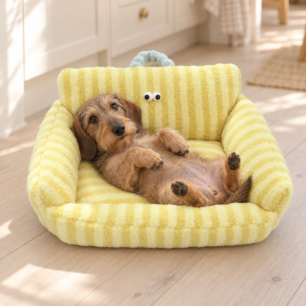 Teckel a poil dur couche sur le dos dans le couchage canape en peluche rayee jaune vanille, dans un coin cuisine clair.