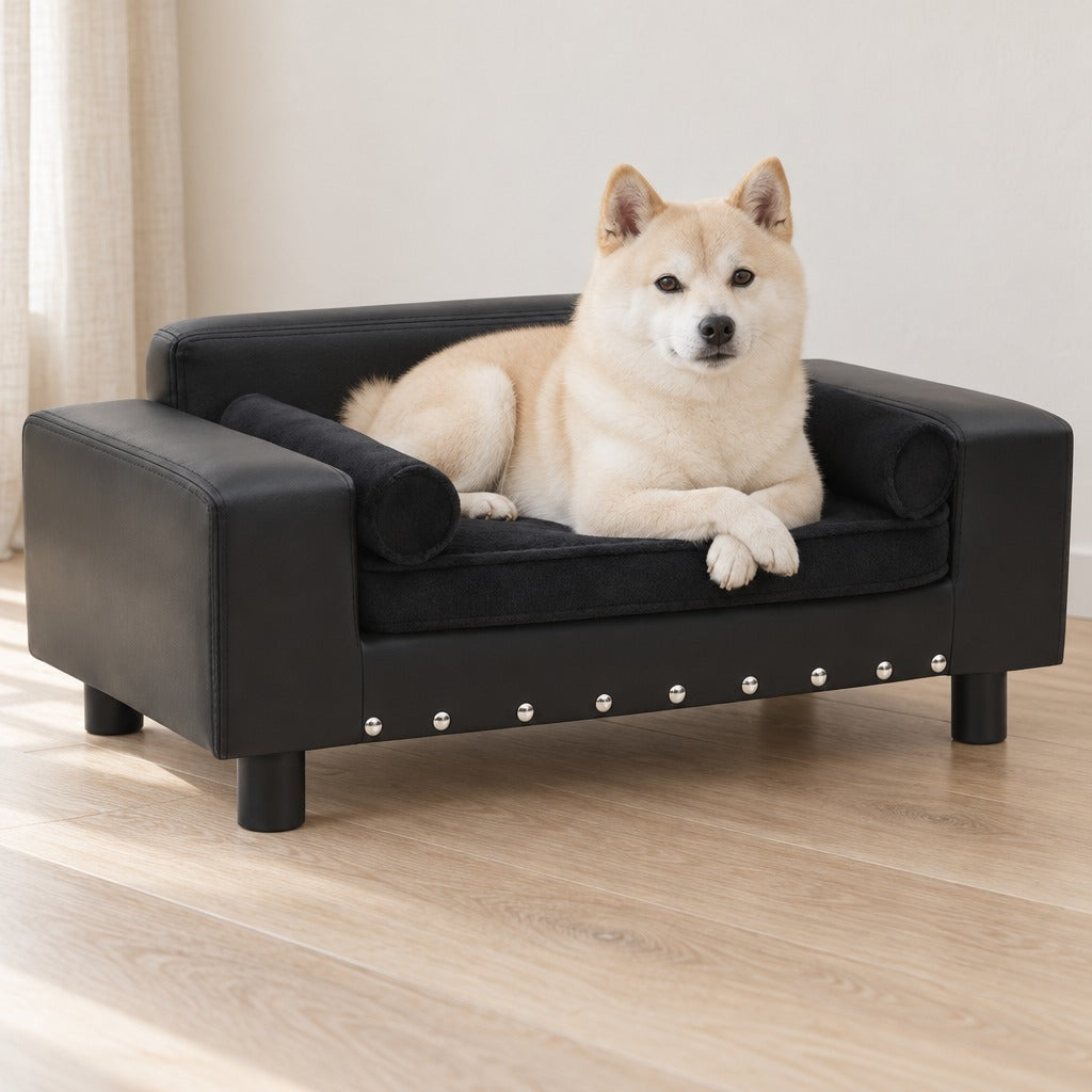 Shiba Inu à la robe crème couché sur le coussin en peluche du canapé noir en simili, les deux pattes avant croisées sur le bord avant.