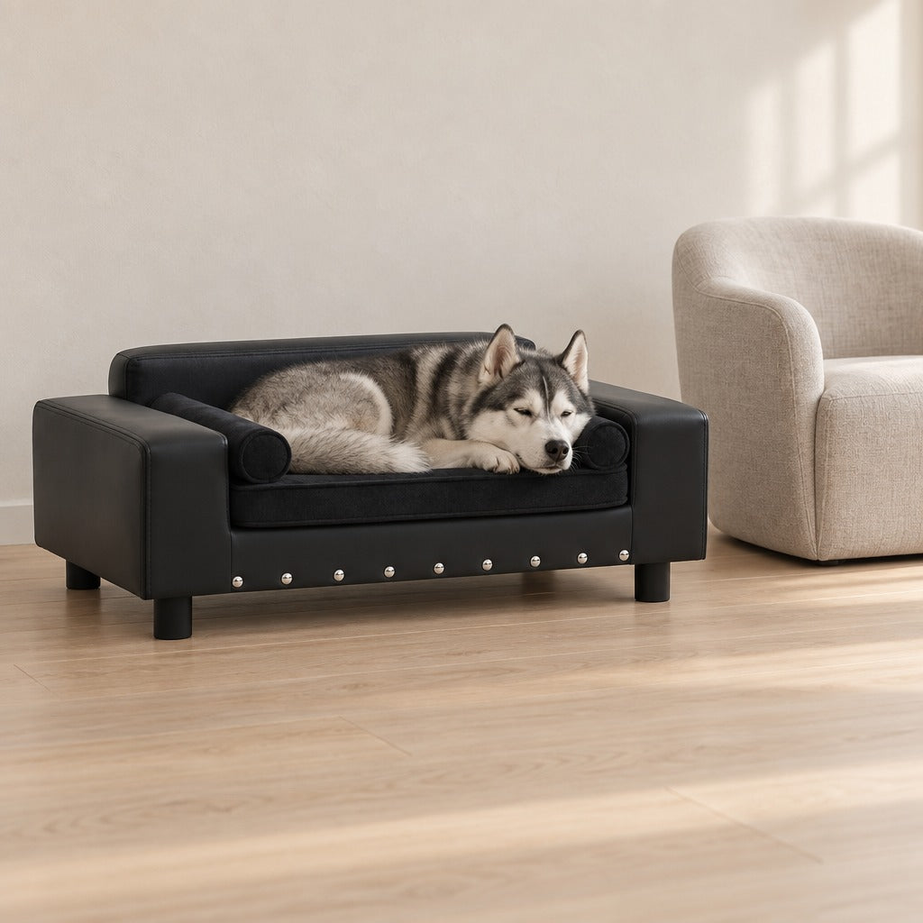 Husky sibérien gris assoupi dans le canapé noir en simili posé au sol d'un salon clair, le menton posé sur le bord avant.