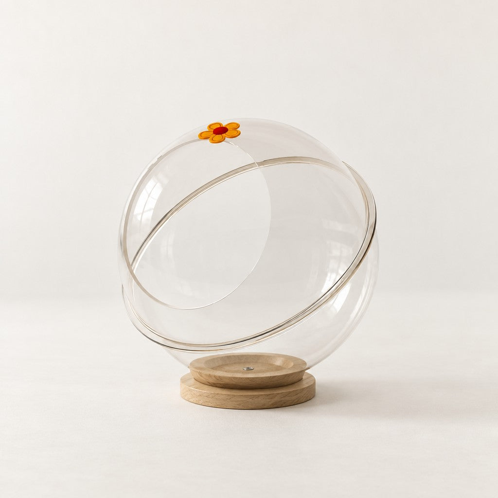 La capsule seule sur fond clair : coque ronde transparente vide, ouverture circulaire inclinée et socle à deux disques de bois.