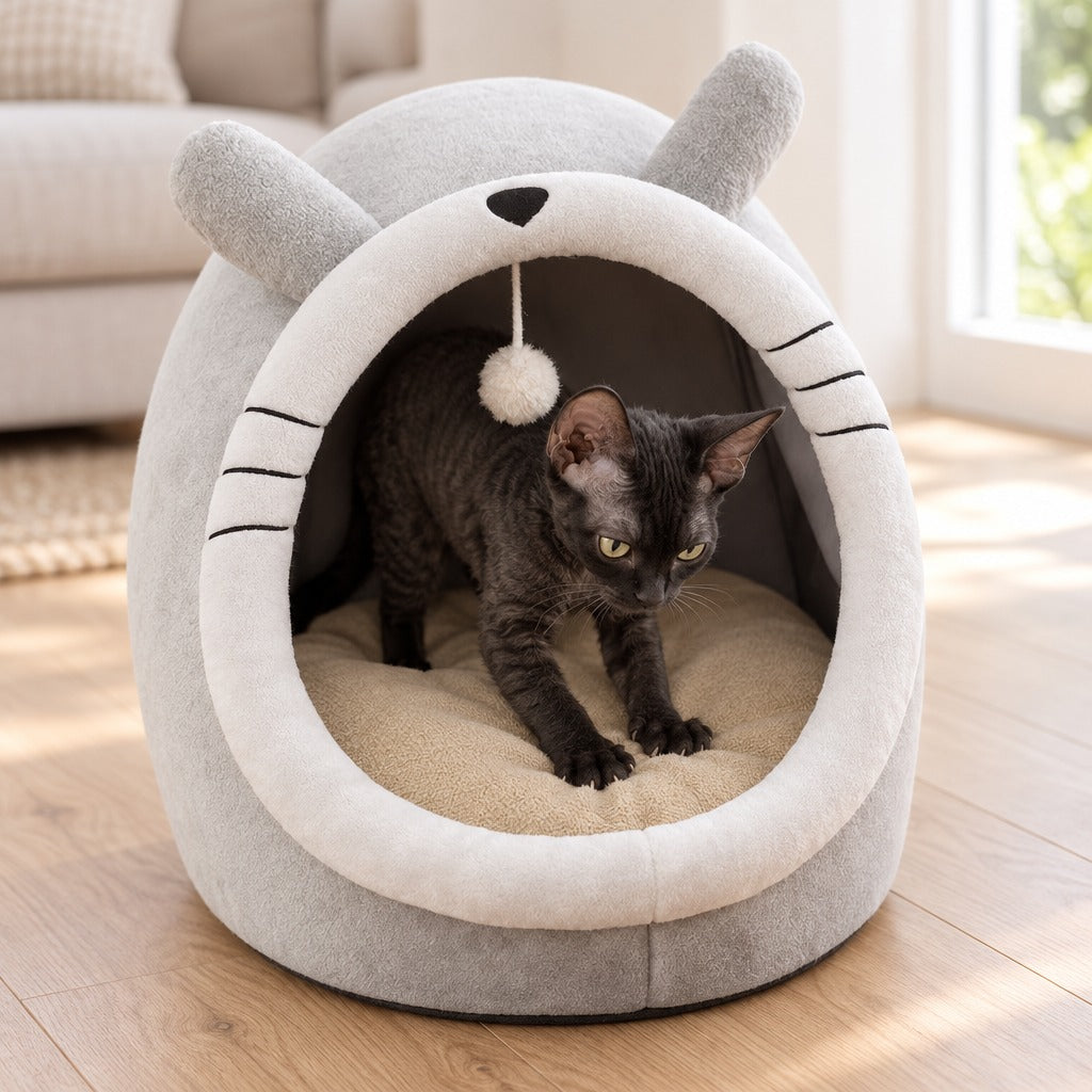 Le coussin sous les pattes