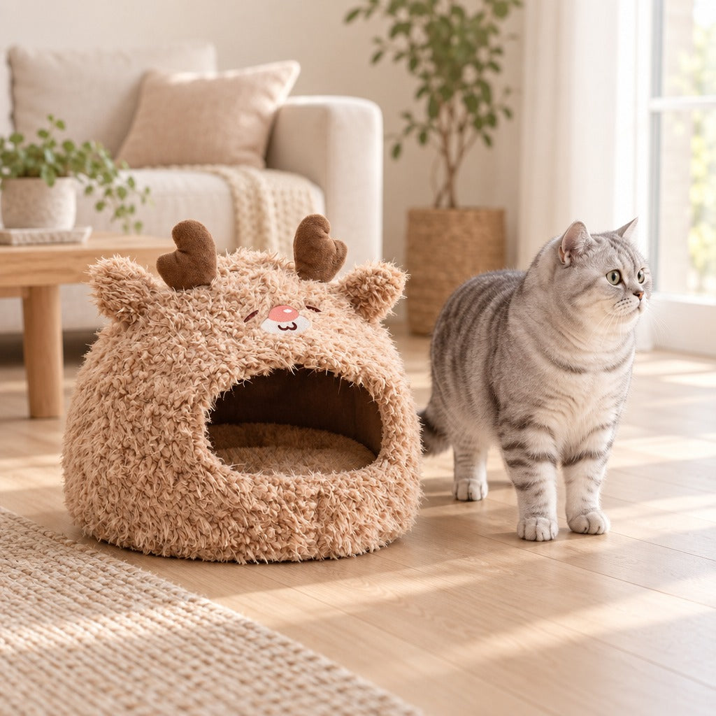 Un chat silver tabby debout sur le parquet à côté du cocon beige renne, dans un salon lumineux.