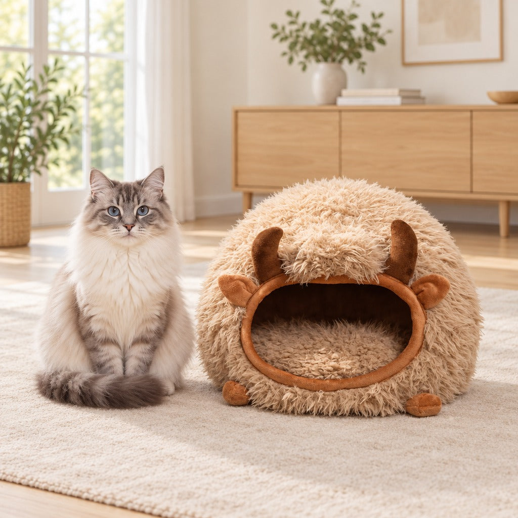 Un chat ragdoll silver tabby est assis bien droit à côté du cocon beige yack posé sur un tapis clair, l'ouverture laissée libre.