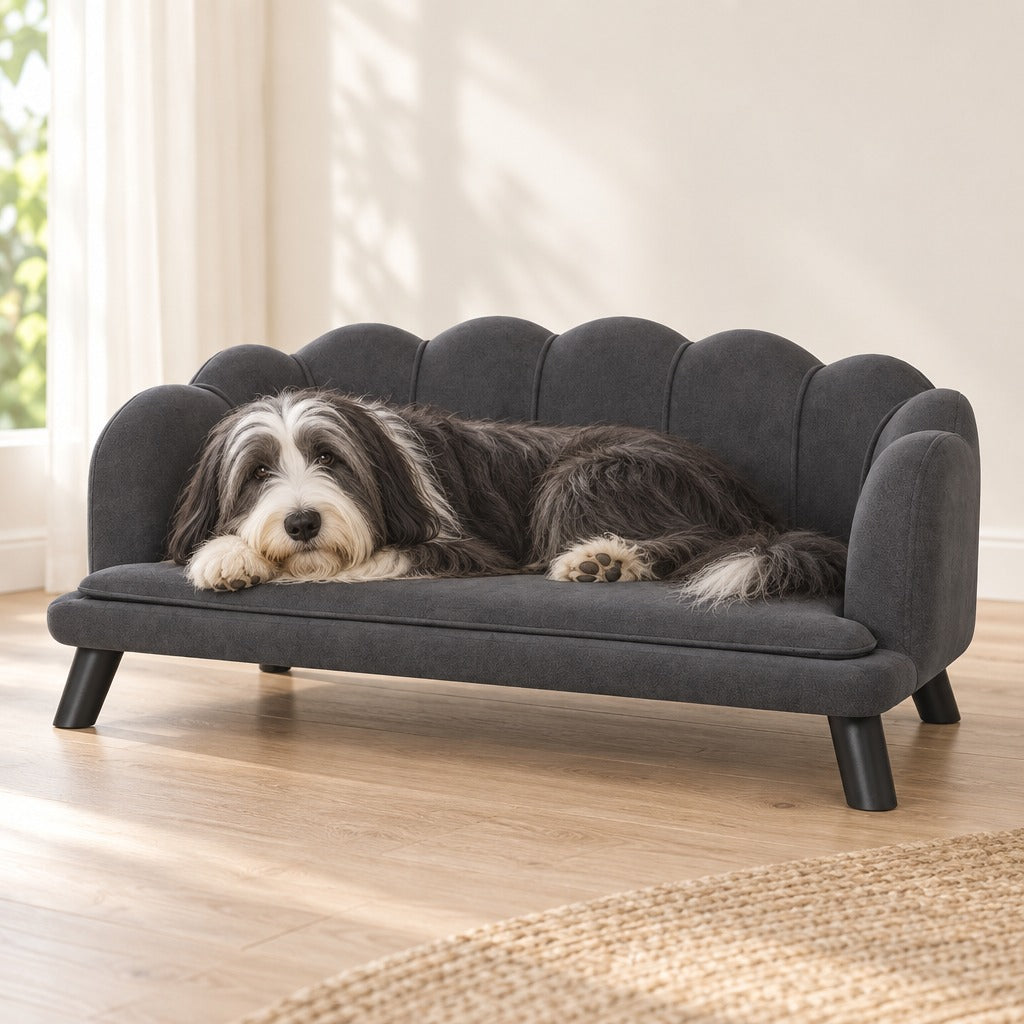 Un bearded collie noir et blanc couché de tout son long sur le canapé pour chien en velours gris anthracite, dans un salon clair au parquet blond.