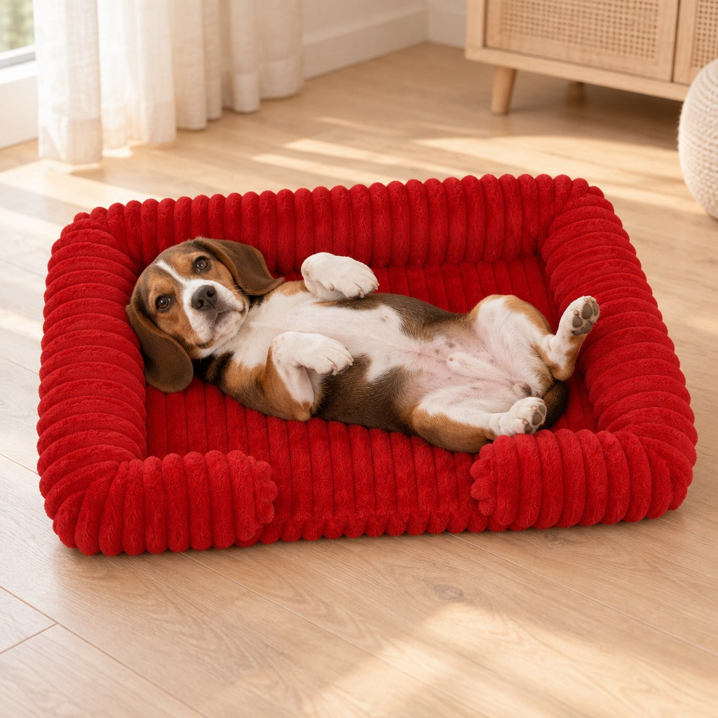Beagle couché sur le dos, ventre à l'air, dans la corbeille coloris rouge carmin.