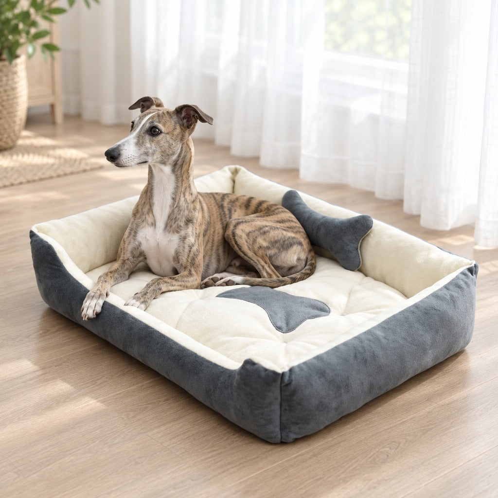 Un whippet bringé couché dans la corbeille gris ardoise et écru posée sur le parquet clair d'un salon lumineux, la tête relevée.