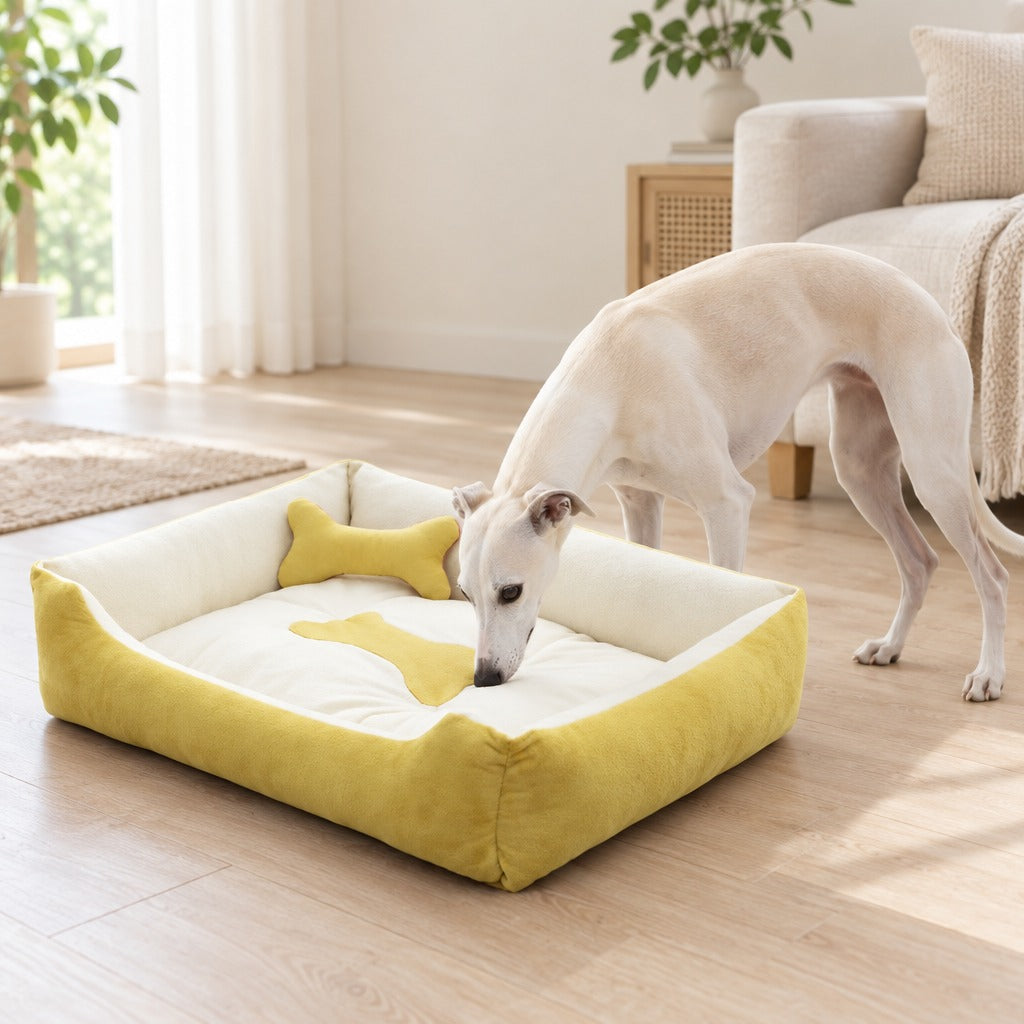 Un whippet blanc crème penché au-dessus de la corbeille jaune moutarde et écru, en train d'en renifler le bord.
