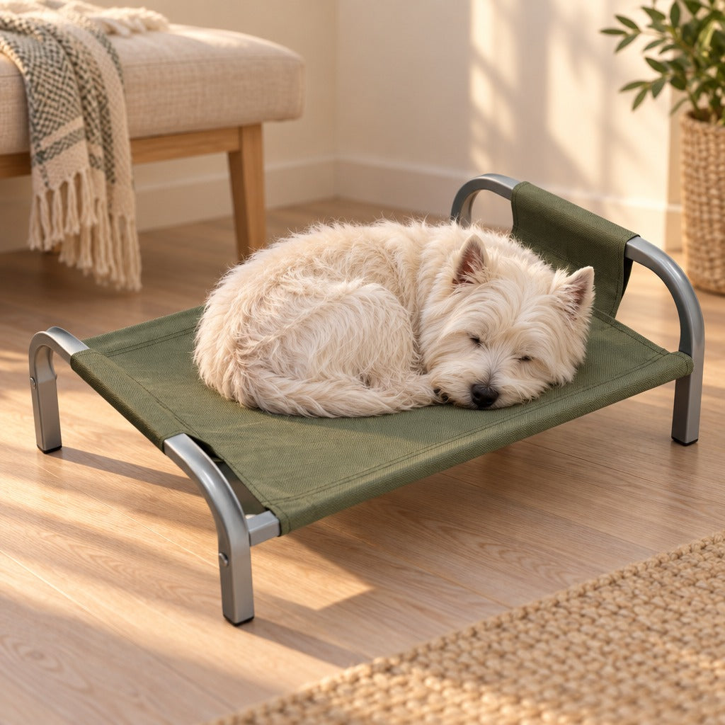 Le chien s'installe, l'air passe dessous