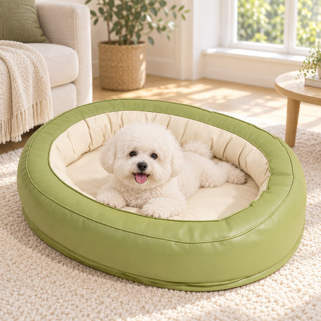 Un bichon frisé blanc couché dans le couchage ovale olive enduit à intérieur crème, sur un tapis bouclé clair.
