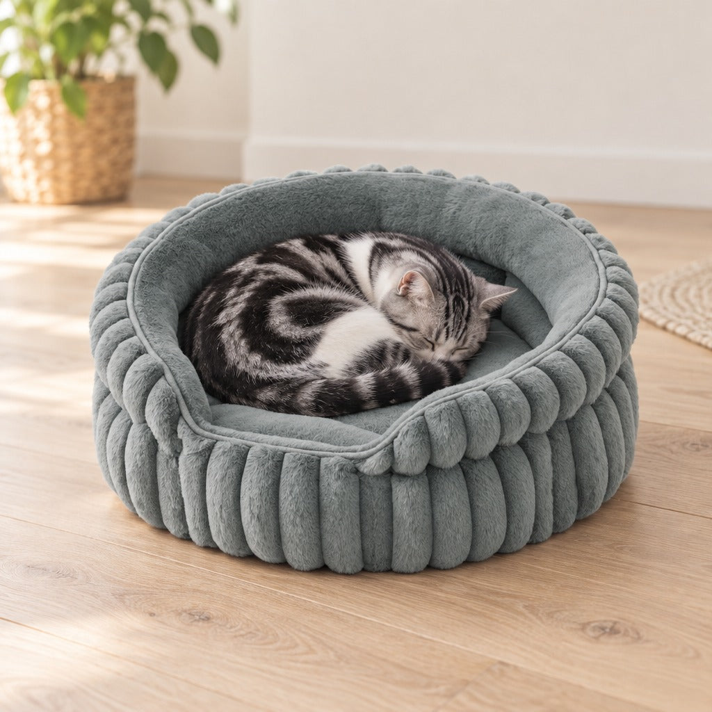 Chat American Shorthair noir et blanc roulé en boule dans le panier rond gris eucalyptus posé sur un parquet clair.