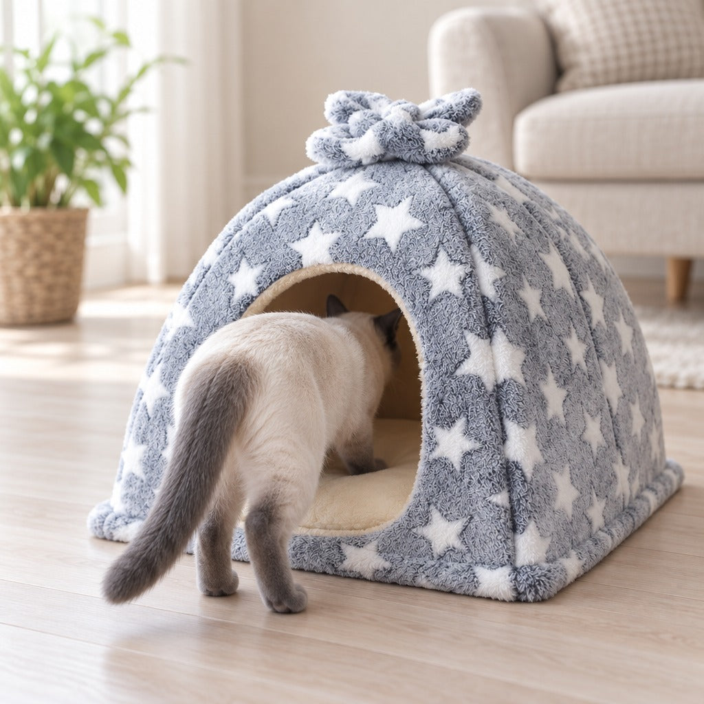 Un chat siamois blue point entre dans le dôme en peluche gris étoilé, ses pattes arrière encore posées sur le parquet du salon.