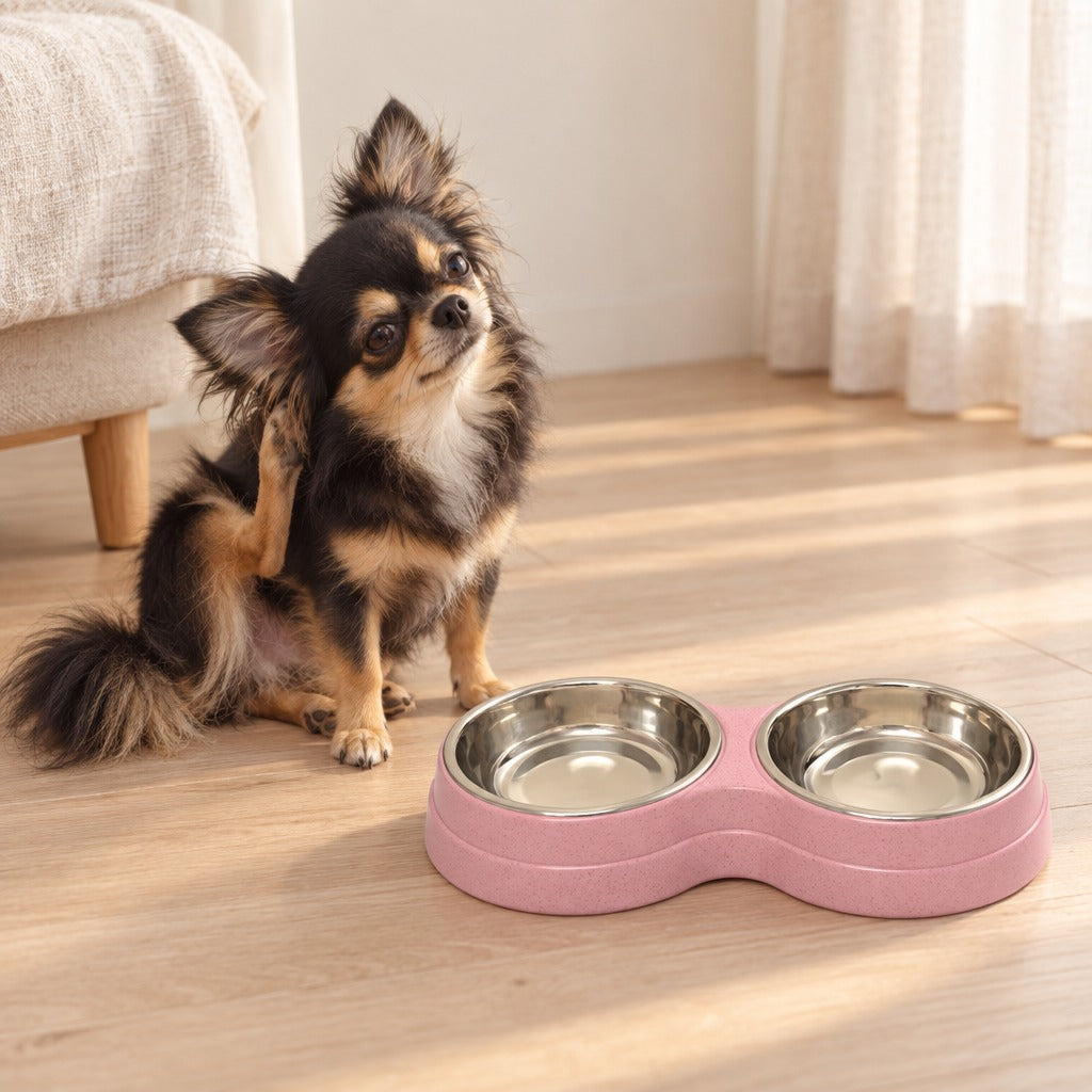 Chihuahua à poil long noir et feu assis près de la double gamelle rose poudré sur un parquet clair.