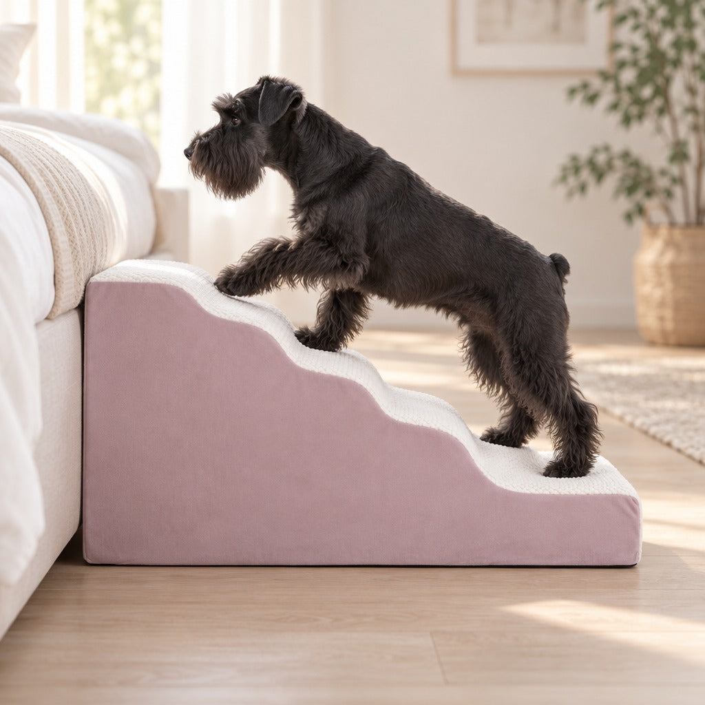 Schnauzer nain noir qui grimpe l'escalier rose poudré grand modèle posé contre un lit bas, dans une chambre claire.