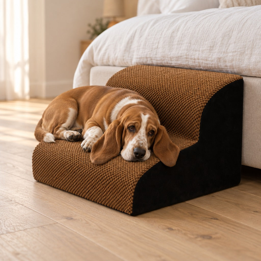 Basset hound fauve couché sur la marche basse de l'escalier camel et noir à 2 marches, contre un lit dans une chambre claire.