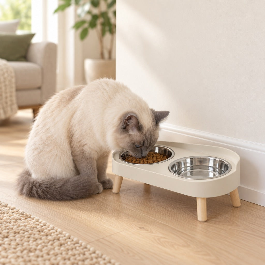 Chat au pelage seal point assis qui mange dans la gamelle double surélevée crème posée le long d'une plinthe.