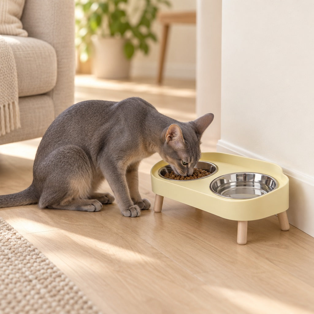 Chat bleu assis qui mange dans la gamelle double surélevée jaune pâle posée dans un salon clair.