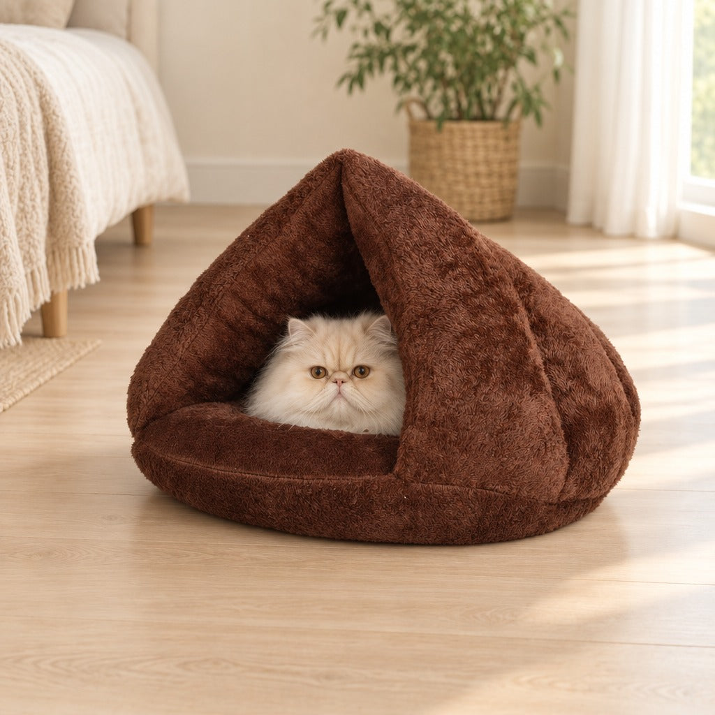 Chat persan crème blotti dans le nid cabane chocolat posé au sol d'une chambre claire, seule sa tête dépasse de l'entrée triangulaire.