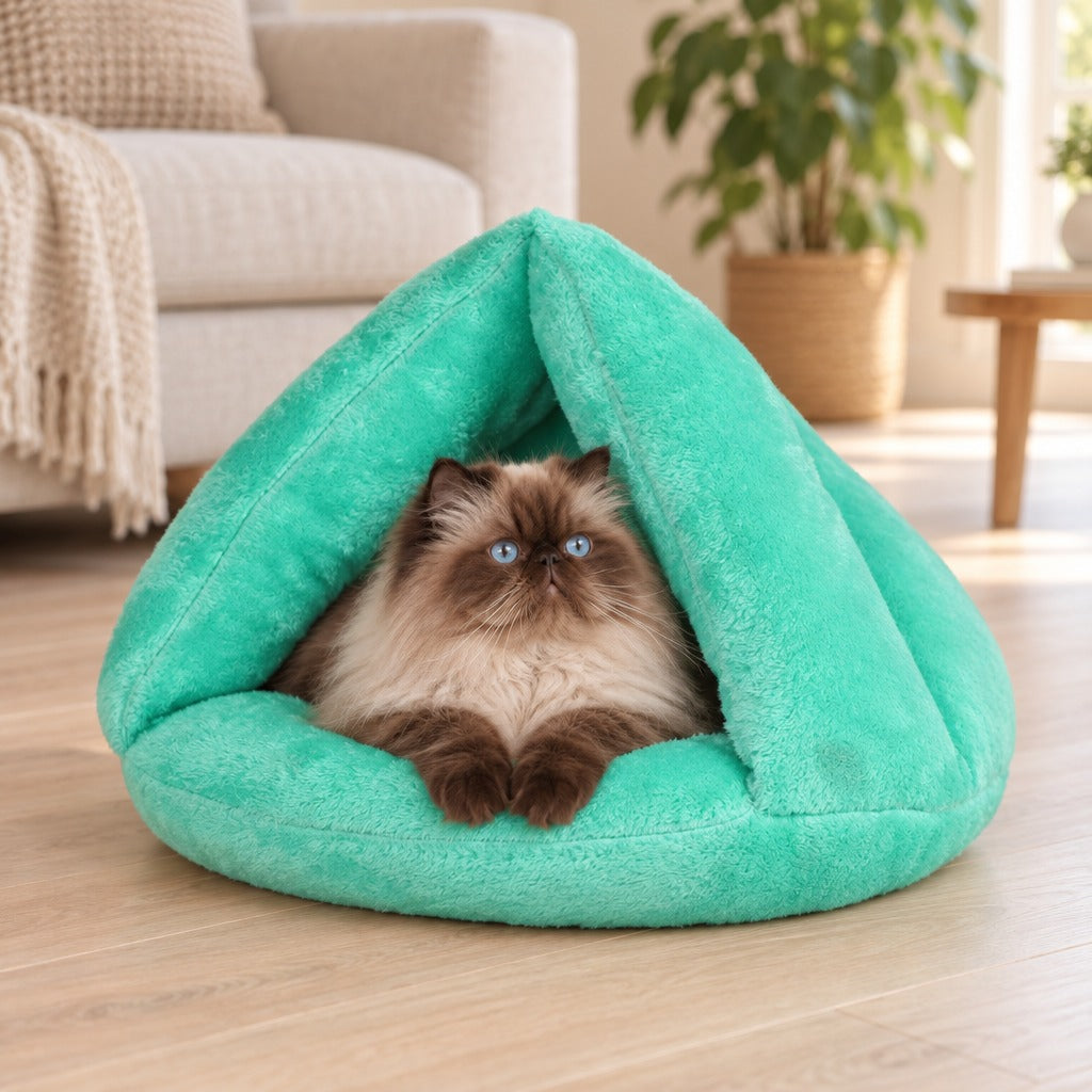 Chat persan colourpoint chocolat aux yeux bleus couché dans le nid cabane vert jade, devant un canapé en lin.