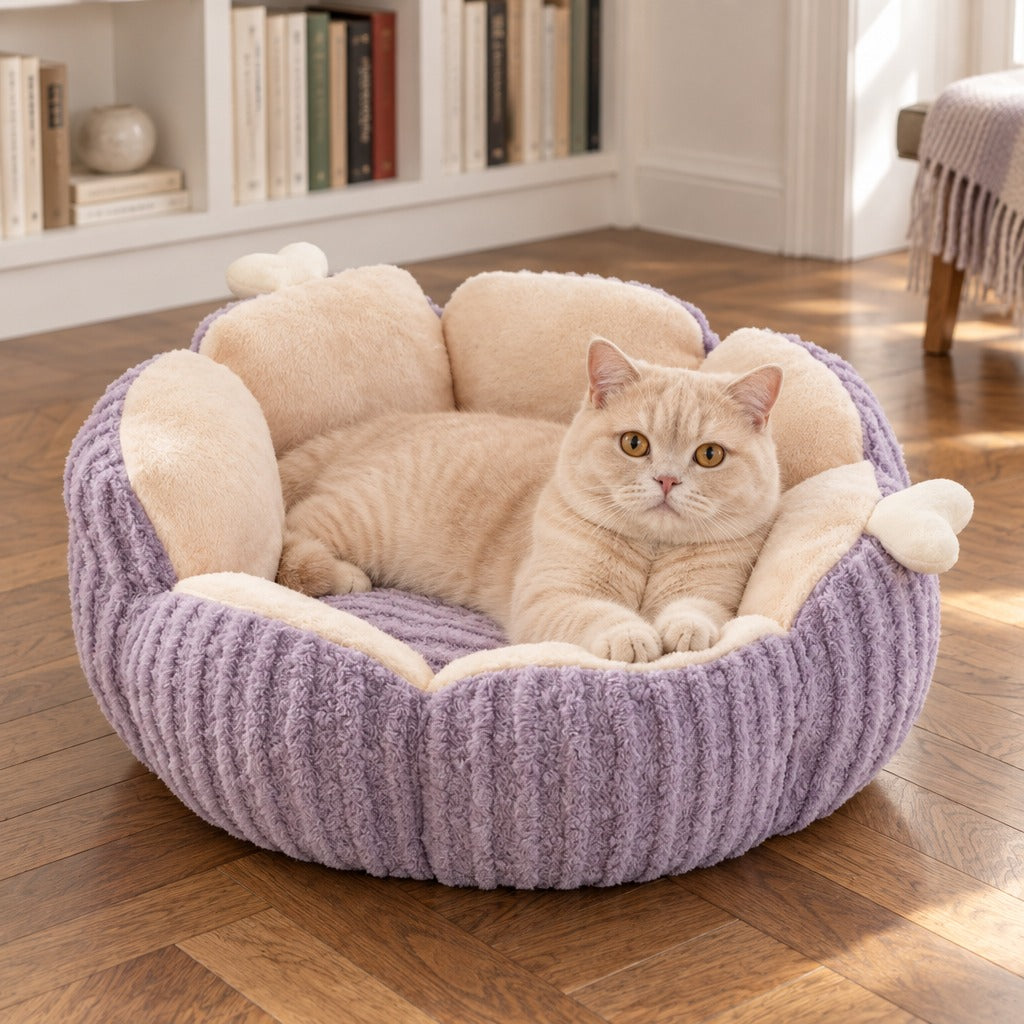 Un chat crème allongé dans le nid parme, posé sur un parquet à bâtons rompus devant une bibliothèque claire.