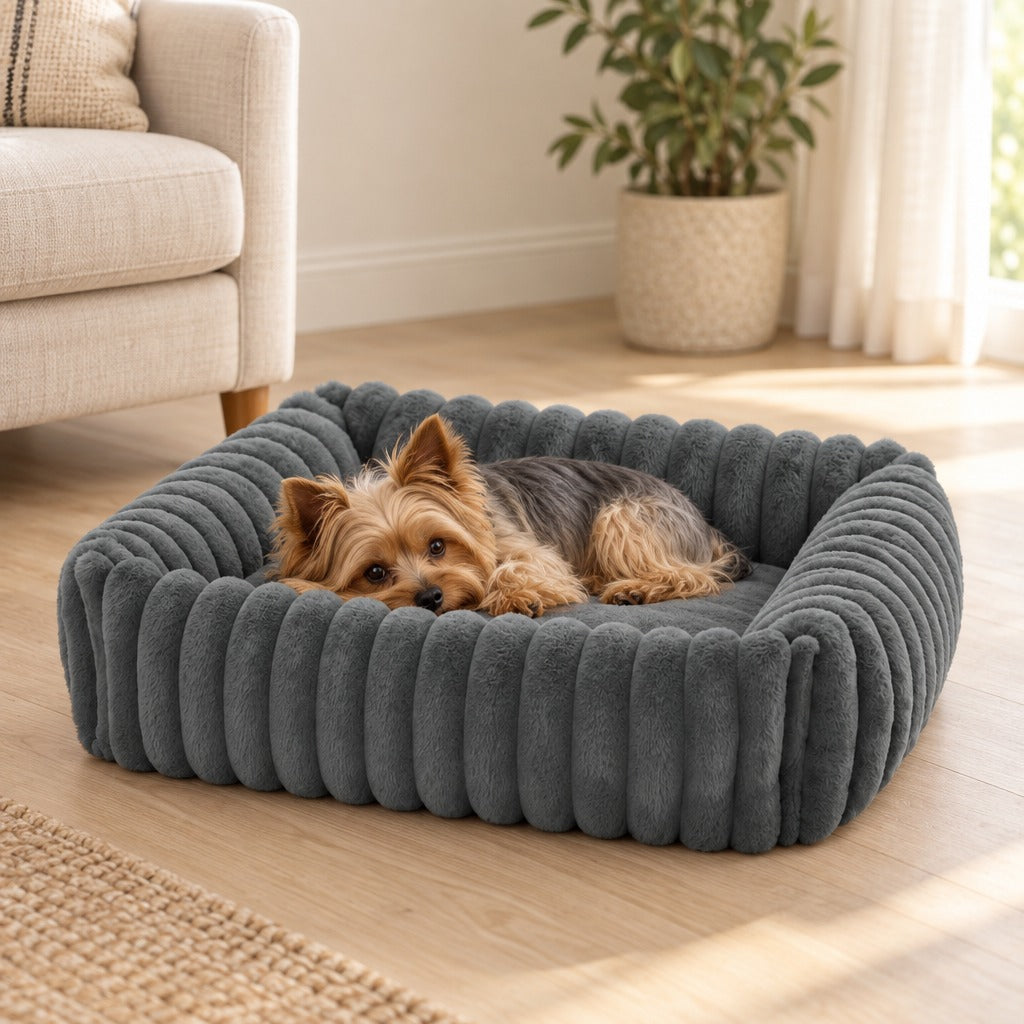 Petit chien yorkshire couché dans le nid gris ardoise, à côté d'un fauteuil en lin.