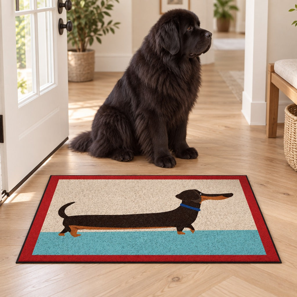 Un terre-neuve noir assis sur le parquet derrière le paillasson crème, turquoise et rouge posé à plat devant la porte d'entrée.