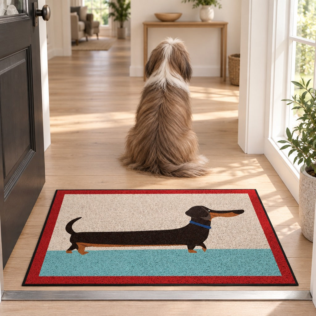 Un bearded collie sable assis de dos, tourné vers la pièce, derrière le paillasson crème, turquoise et rouge posé à plat dans l'entrée.