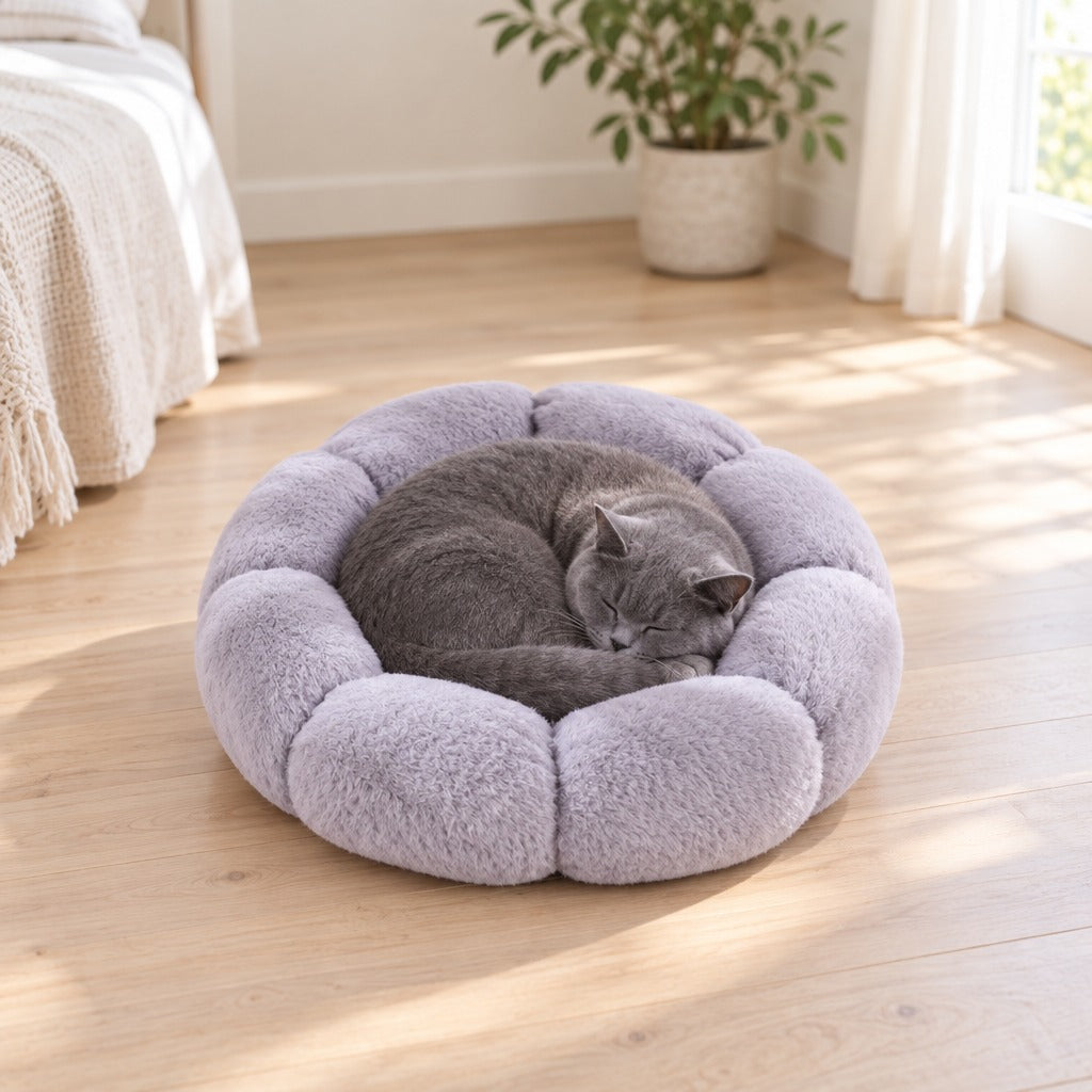 Chartreux endormi en boule au creux du panier corolle gris perle sur le parquet clair d'une chambre.