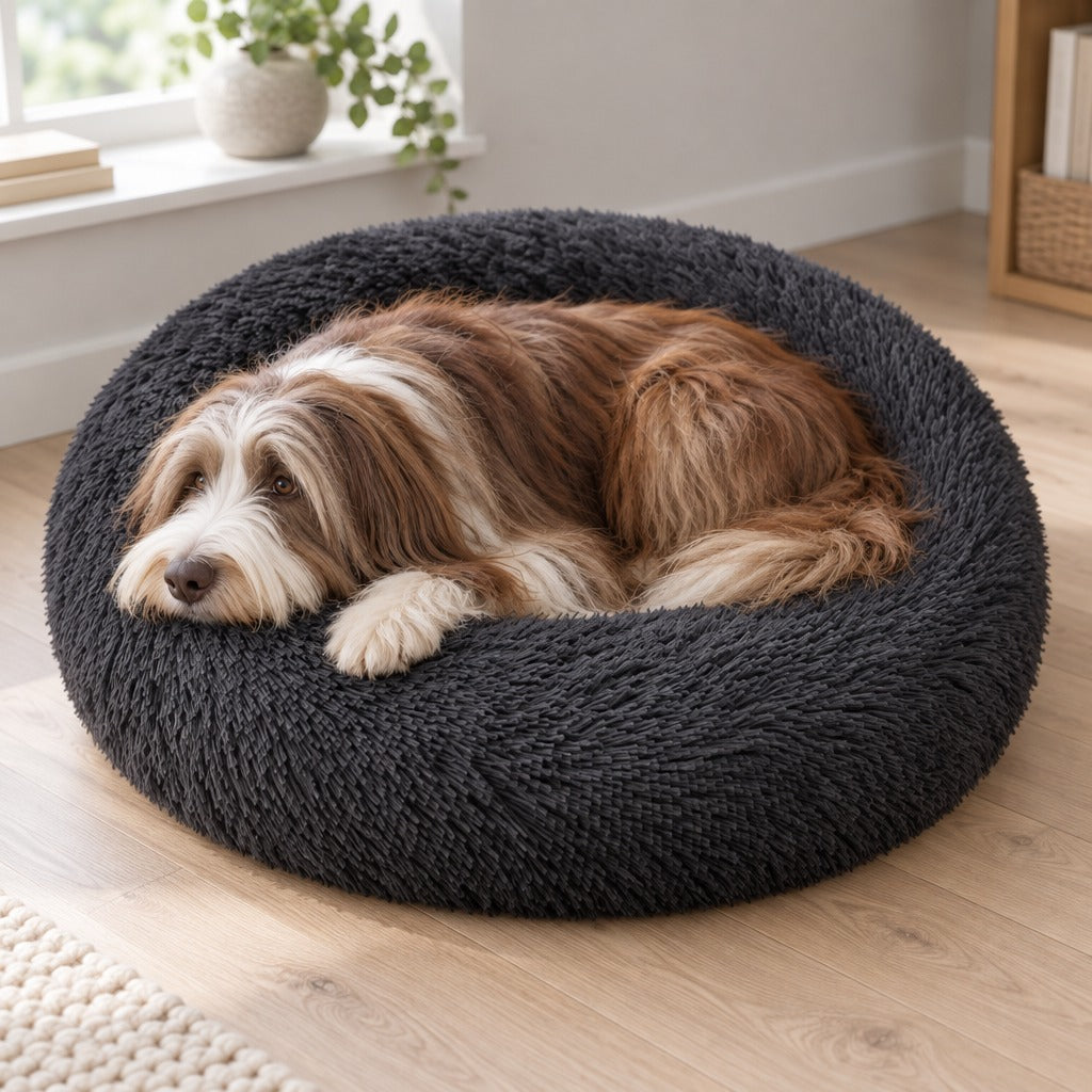 Un chien à poil long noir et blanc couché en travers du panier rond anthracite, la tête qui dépasse du bourrelet, devant une fenêtre.
