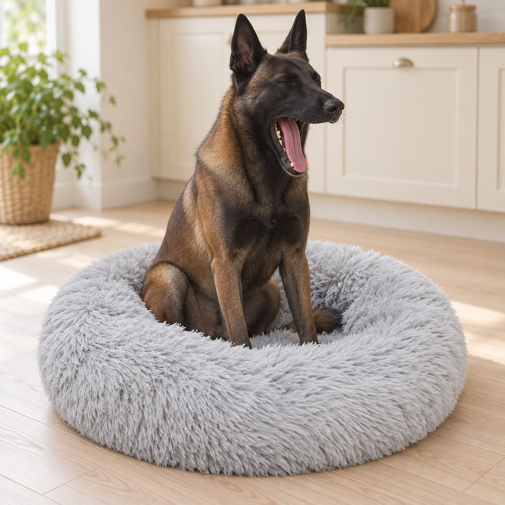 Un malinois assis dans le panier rond gris perle baille largement, dans un coin de cuisine lumineux.