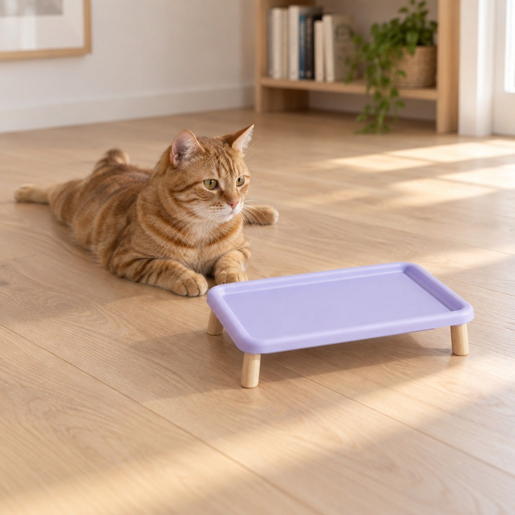 Un chat roux tigré couché à plat ventre sur le parquet d'un coin bureau, les pattes arrière étalées derrière lui, près du plateau repas surélevé lilas.