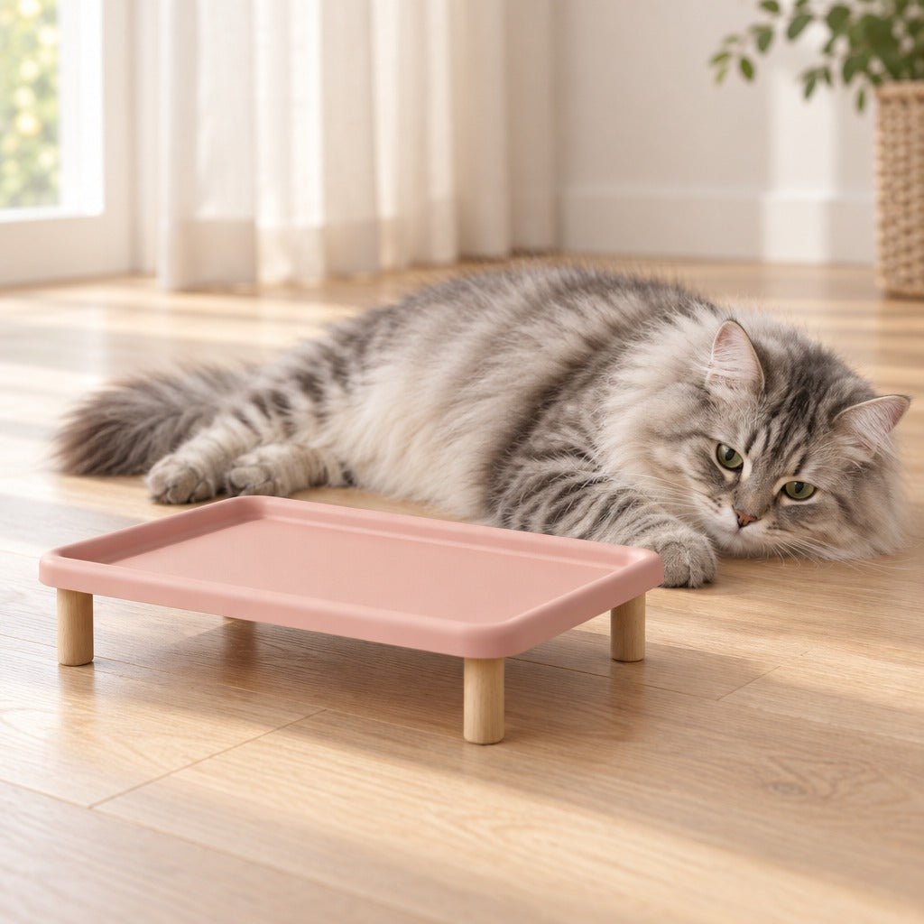 Un chat sibérien silver tabby couché sur le flanc près d'une fenêtre, derrière le plateau repas surélevé rose poudré posé sur le parquet.