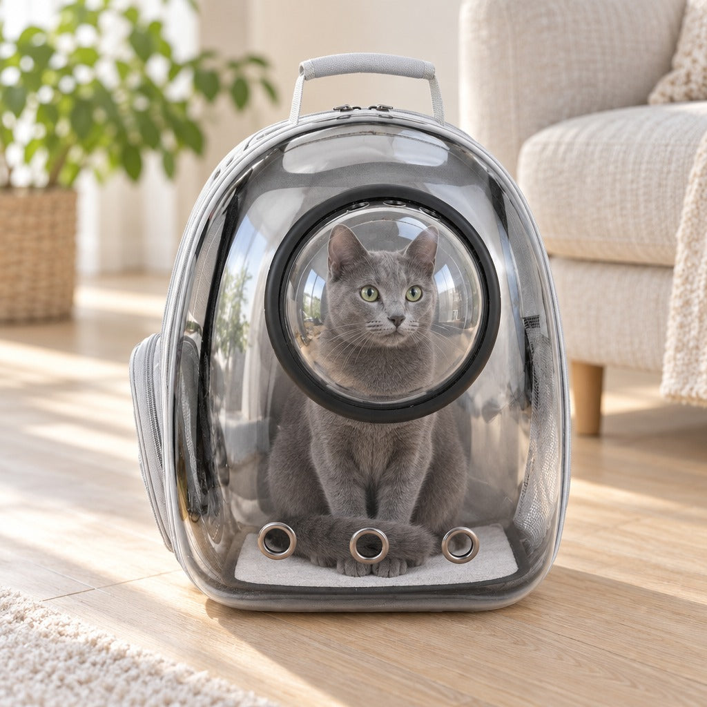 Un chat au pelage gris bleu assis bien droit dans le sac à dos capsule Gris, hublot bombé, la tête engagée dans le hublot, dans un salon clair