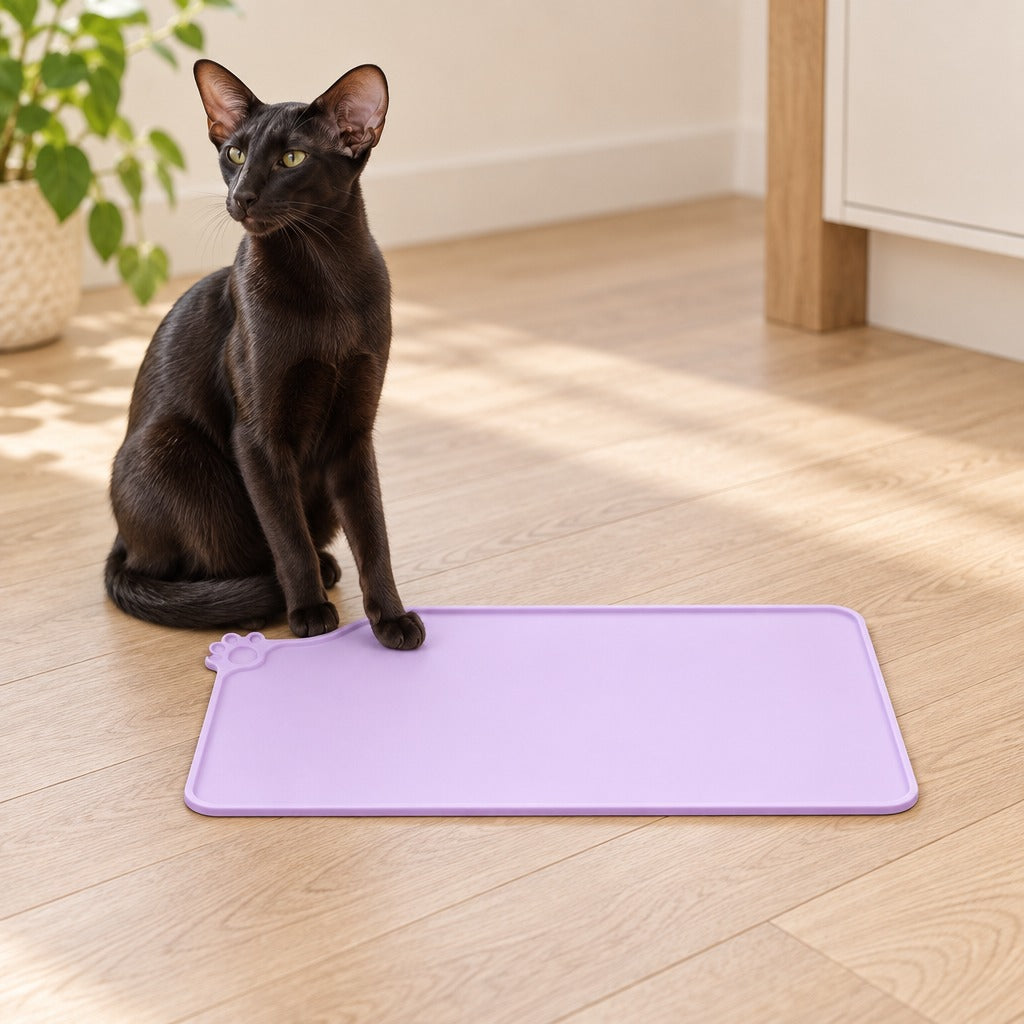 Un chat noir assis sur le parquet pose une patte avant sur le set de table lilas.