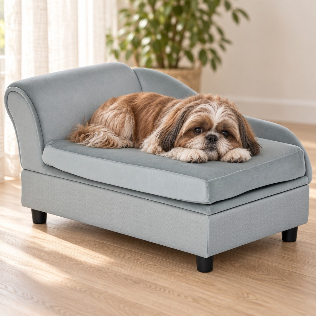 Un Shih Tzu roux et blanc couché sur le coussin gris clair du sofa, le menton posé sur ses pattes avant, dans un salon lumineux.