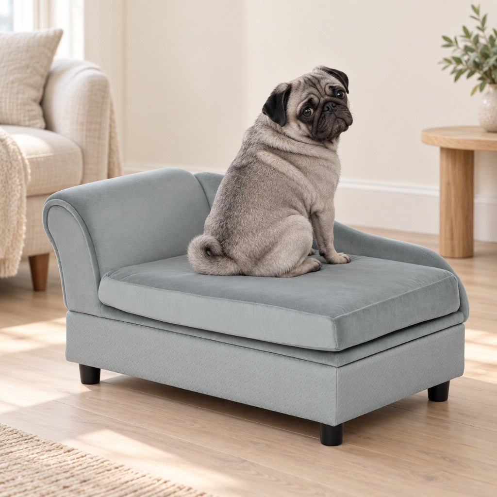 Un Carlin gris assis de trois quarts dos sur le coussin gris clair du sofa, la tête tournée vers l'objectif, dans un salon clair.