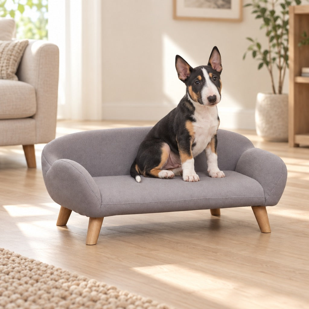 Chiot bull terrier tricolore assis bien droit dans le sofa pour chien gris clair, vu de loin dans un salon clair.