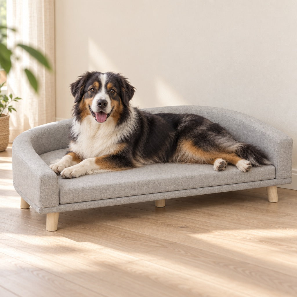 Un berger australien tricolore allongé de tout son long sur le coussin du canapé pour chien gris clair, dans un salon lumineux au parquet blond.