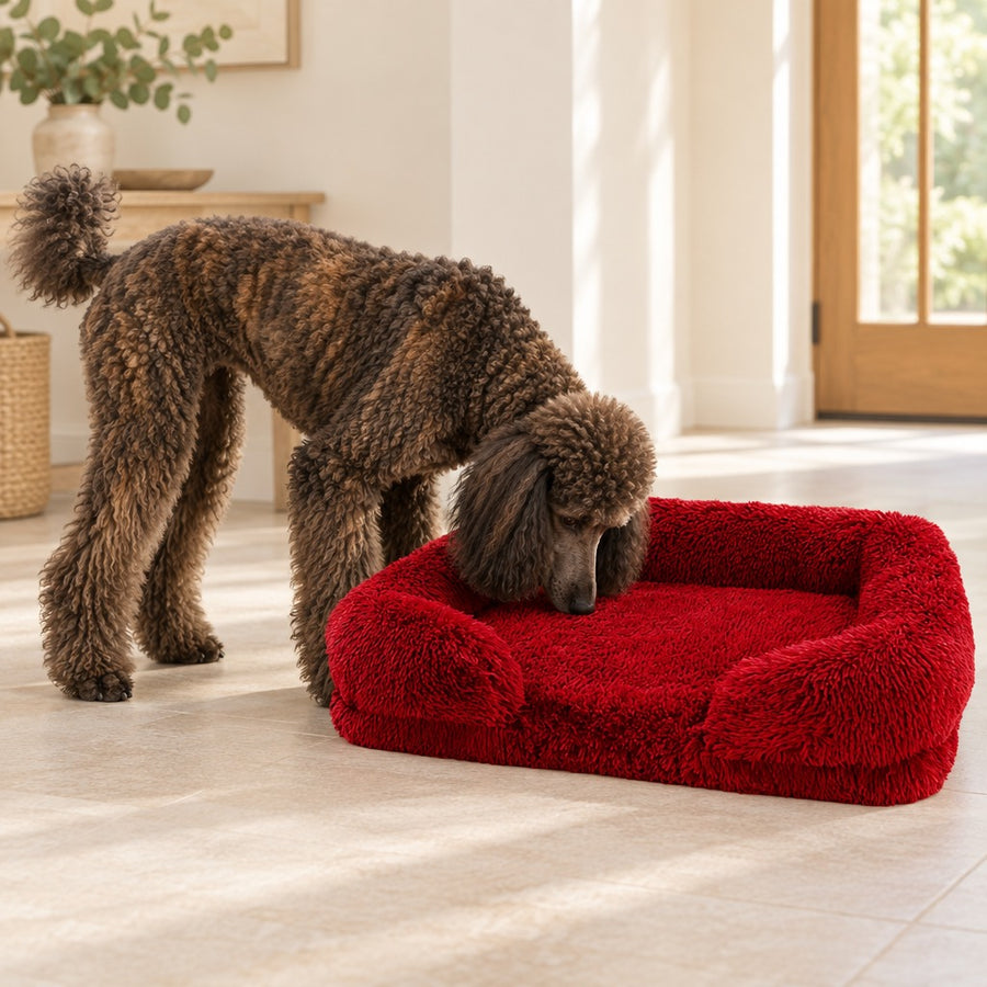 Sofa Mémoire de Forme Charline – Rouge bordeaux